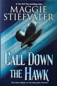 Featured image for „Zusammenfassung von 'Call Down the Hawk' von Maggie Stiefvater“