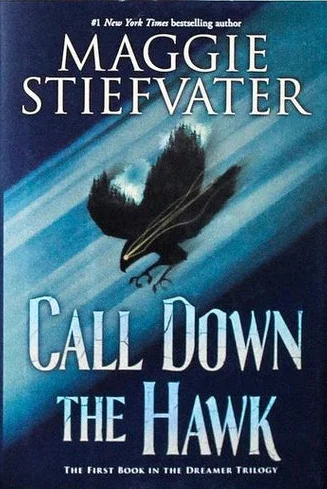 Featured image for „Zusammenfassung von 'Call Down the Hawk' von Maggie Stiefvater“