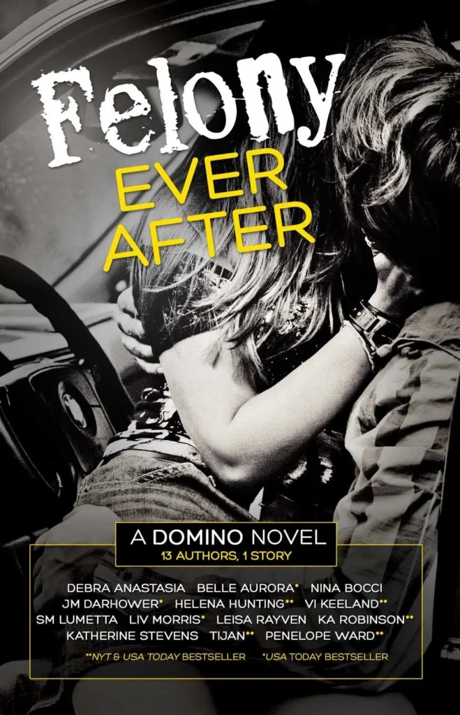 Featured image for Zusammenfassung von 'Felony Ever After' von Debra Anastasia und anderen