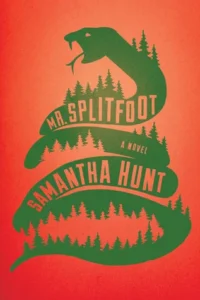 Featured image for Zusammenfassung von 'Mr. Splitfoot' von Samantha Hunt