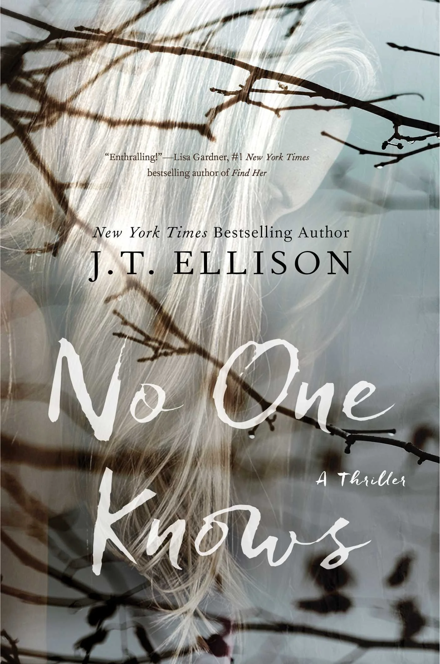 Featured image for Zusammenfassung von 'No One Knows' von J.T. Ellison