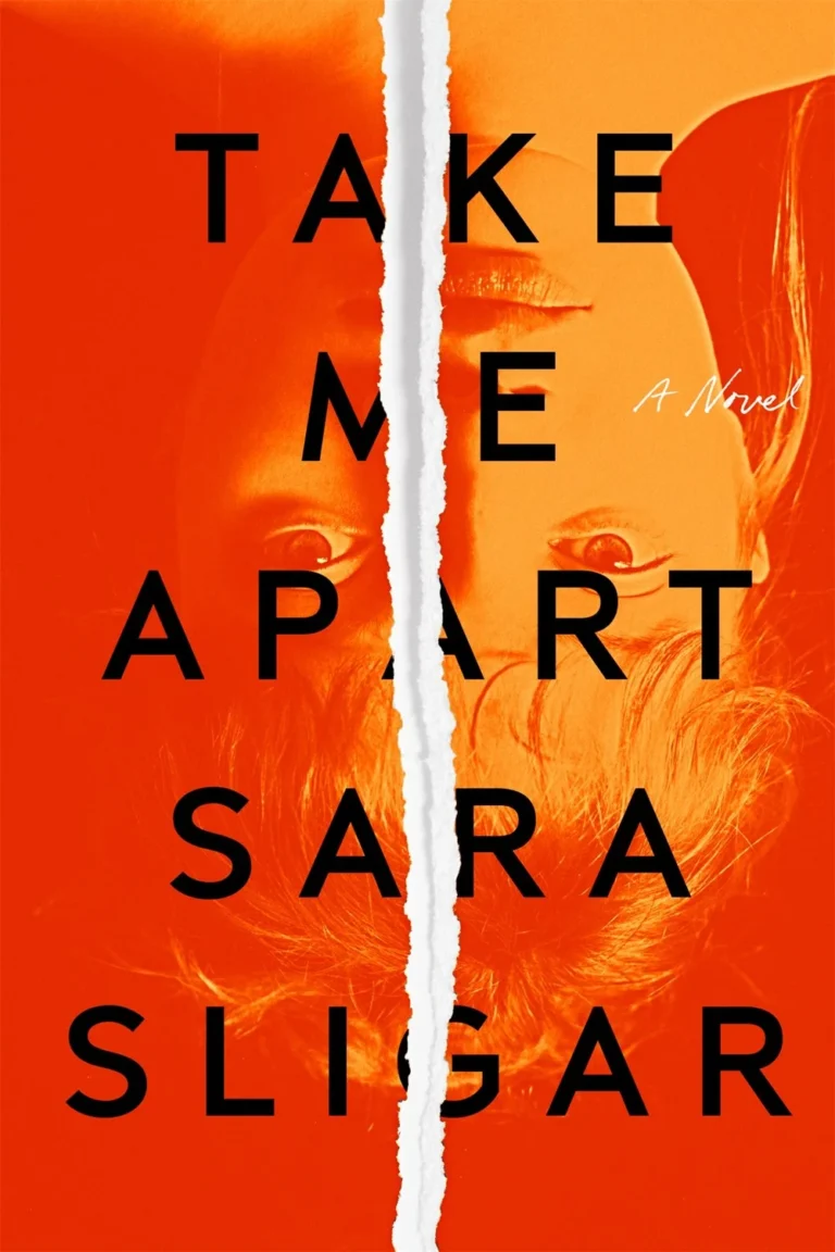 Featured image for Zusammenfassung von 'Take Me Apart' von Sara Sligar