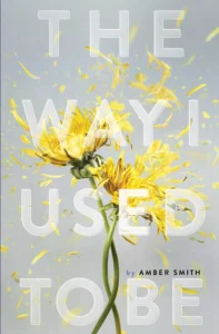 Featured image for Zusammenfassung von 'The Way I Used to Be' von Amber Smith