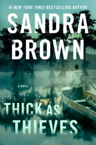 Featured image for Zusammenfassung von 'Thick as Thieves' von Sandra Brown
