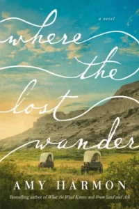 Featured image for Zusammenfassung von „Where the Lost Wander“ von Amy Harmon