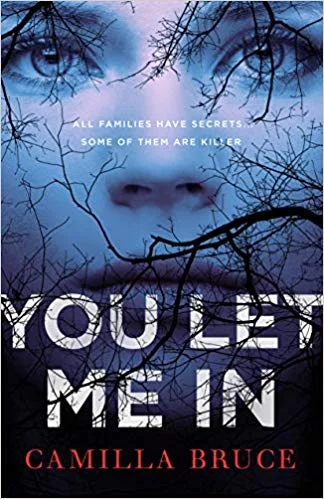 Featured image for "Zusammenfassung von 'You Let Me In' von Camilla Bruce"