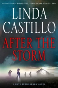 Featured image for Zusammenfassung von 'Nach dem Sturm' von Linda Castillo