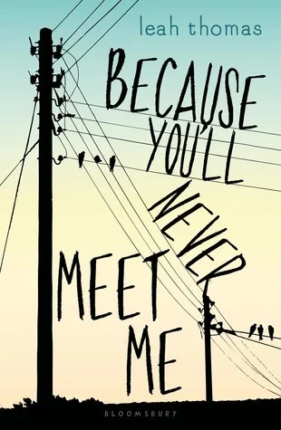 Featured image for Zusammenfassung von 'Because You’ll Never Meet Me' von Leah Thomas