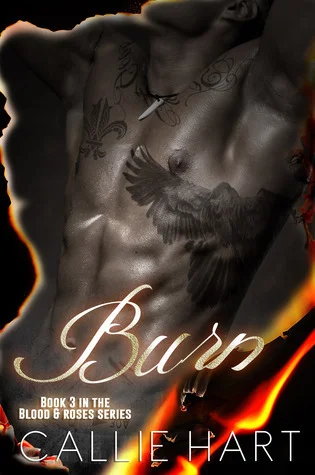 Featured image for Zusammenfassung von 'Burn' von Callie Hart