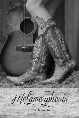 Featured image for "Zusammenfassung von 'Die Verwandlung' von Erin Noelle"