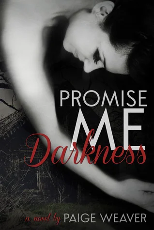 Featured image for Zusammenfassung von 'Promise Me Darkness' von Paige Weaver