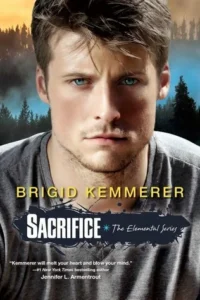 Featured image for Zusammenfassung von 'Sacrifice' von Brigid Kemmerer
