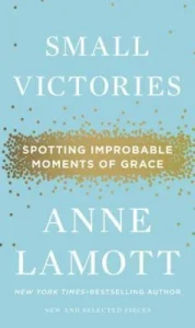 Featured image for Zusammenfassung von 'Small Victories' von Anne Lamott