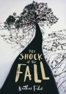 Featured image for Zusammenfassung von „The Shock of the Fall“ von Nathan Filer