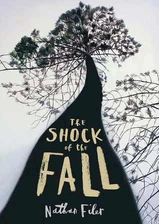Featured image for Zusammenfassung von „The Shock of the Fall“ von Nathan Filer