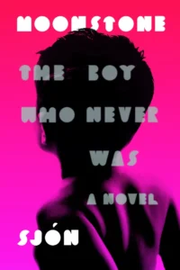 Featured image for Zusammenfassung von 'Der Mondstein: Der Junge, der nie war' von Sjón