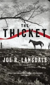 Featured image for Zusammenfassung von 'The Thicket' von Joe R. Lansdale