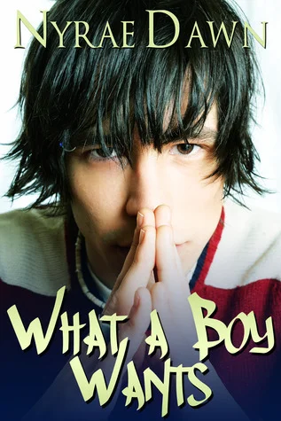 Featured image for Zusammenfassung von 'What a Boy Wants' von Nyrae Dawn
