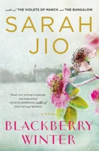 Featured image for Zusammenfassung von 'Blackberry Winter' von Sarah Jio