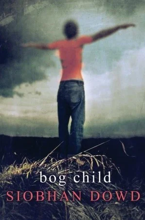 Featured image for Zusammenfassung von 'Bog Child' von Siobhan Dowd