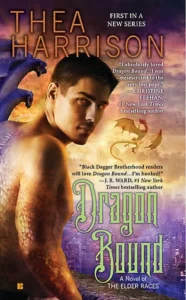 Featured image for Zusammenfassung von 'Dragon Bound' von Thea Harrison