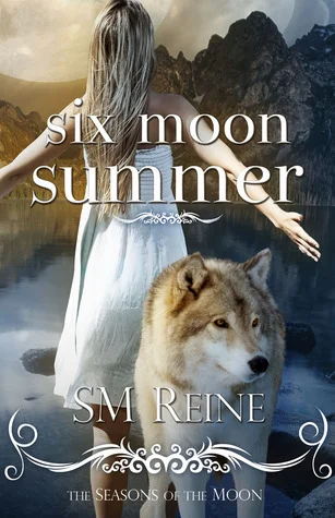 Featured image for Zusammenfassung von 'Six Moon Summer' von S.M. Reine