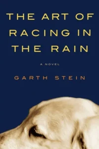 Featured image for Zusammenfassung von 'Das Leben ist ein Rennen' von Garth Stein