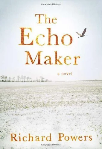 Featured image for Zusammenfassung von 'Der Echo-Maker' von Richard Powers