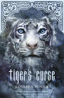 Featured image for Zusammenfassung von 'Tiger's Curse' von Colleen Houck