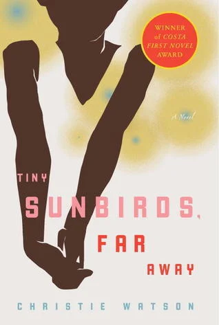 Featured image for Zusammenfassung von 'Tiny Sunbirds, Far Away' von Christie Watson