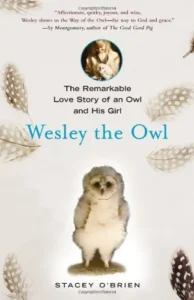 Featured image for Zusammenfassung von 'Wesley der Uhu' von Stacey O'Brien