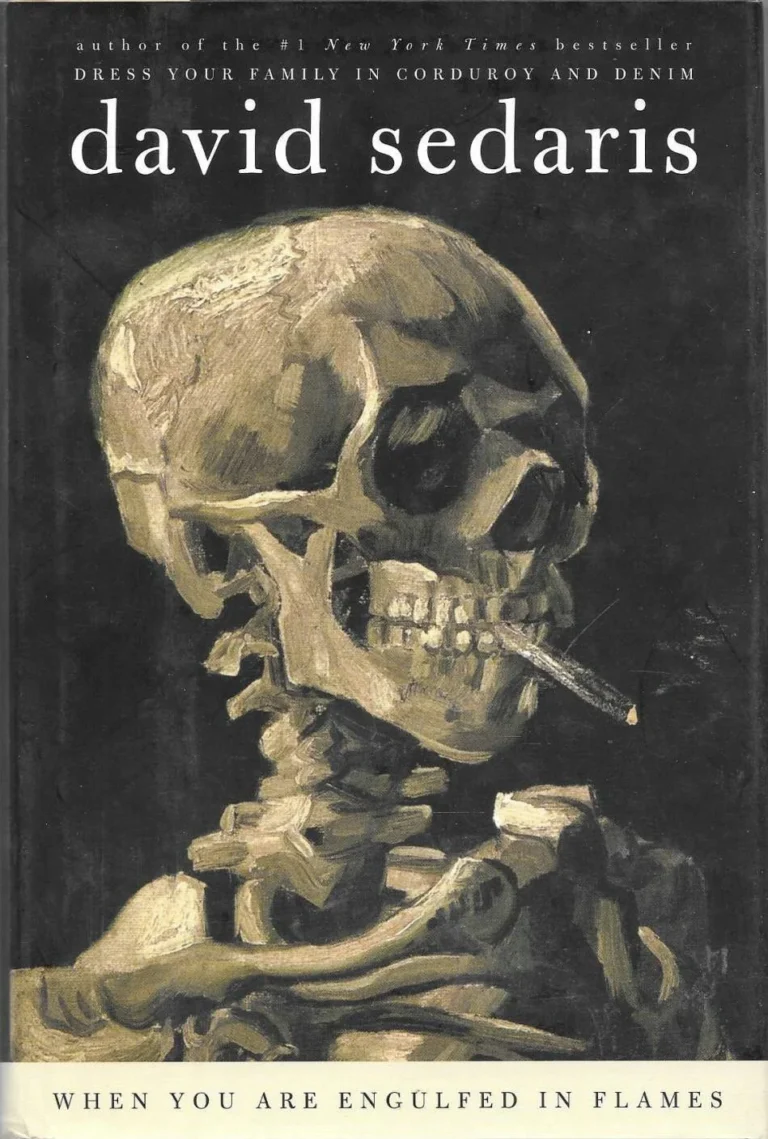 Featured image for Zusammenfassung von 'Wenn Sie von Flammen umhüllt sind' von David Sedaris